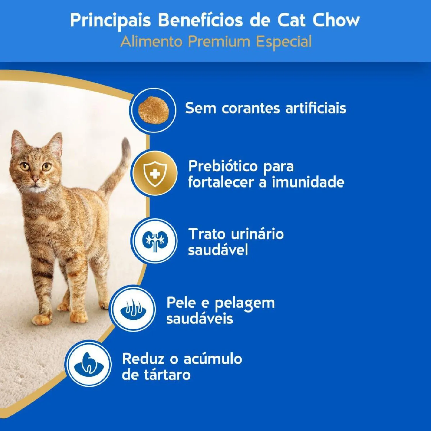 Racao Cat Chow Gatos Adultos Carne beneficios-05